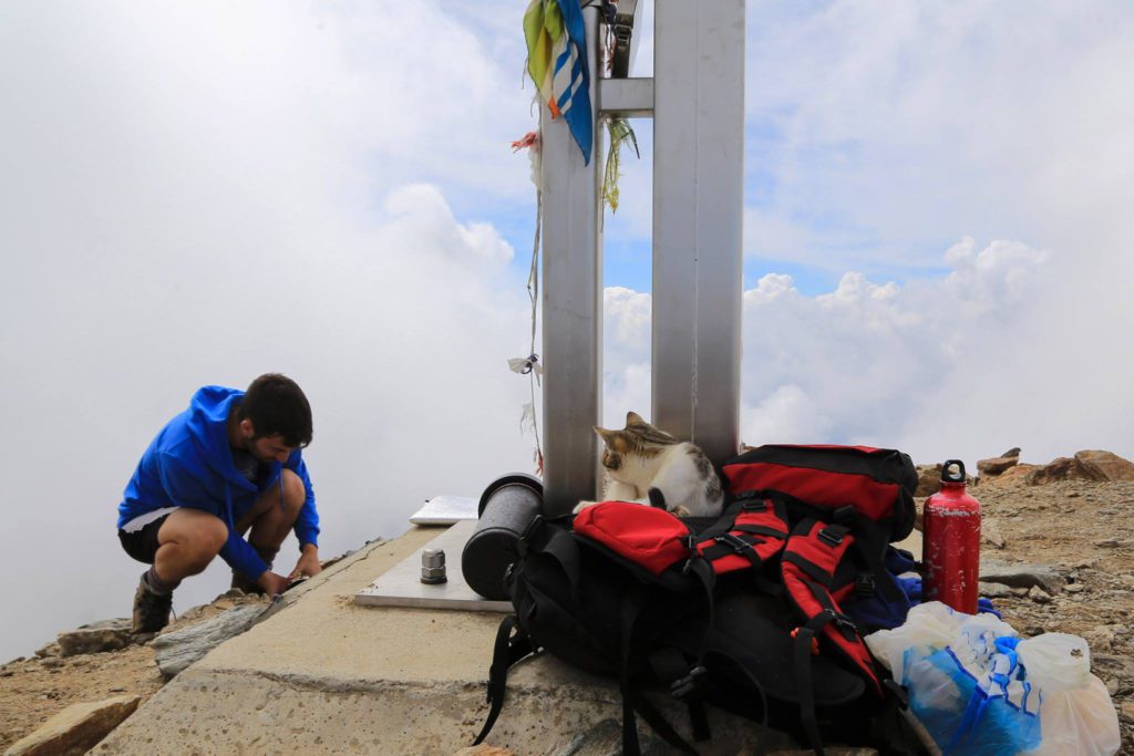 Photo Davide Mezzeria Facebook Page