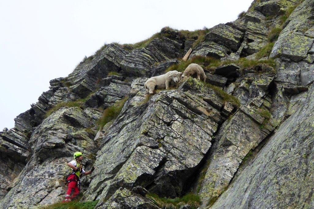 Photo courtesy of www.spab.ch