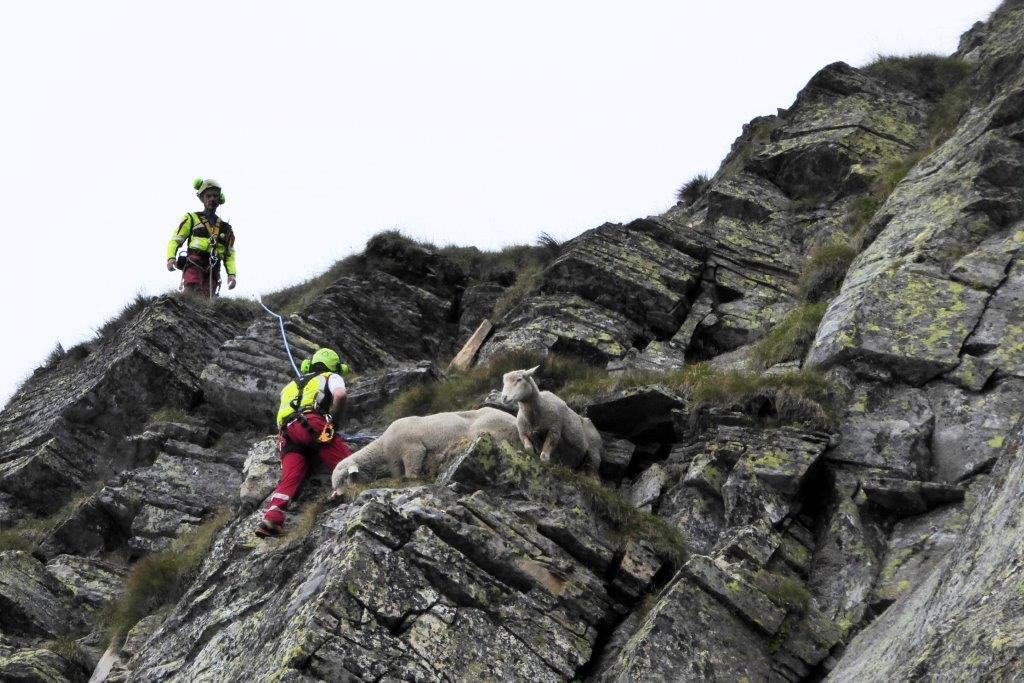 Photo courtesy of www.spab.ch