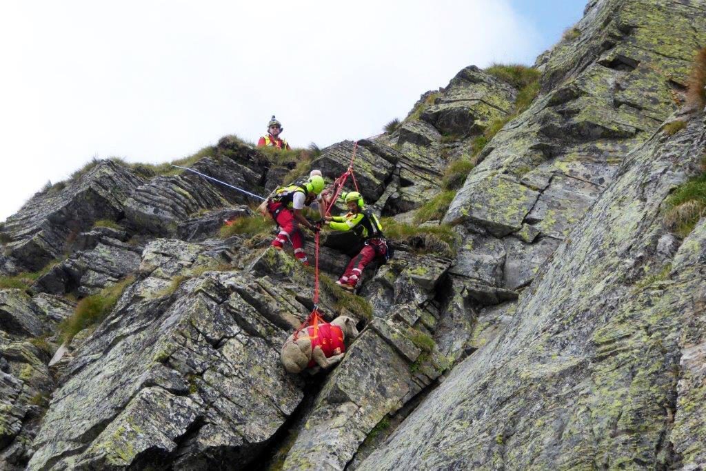 Photo courtesy of www.spab.ch