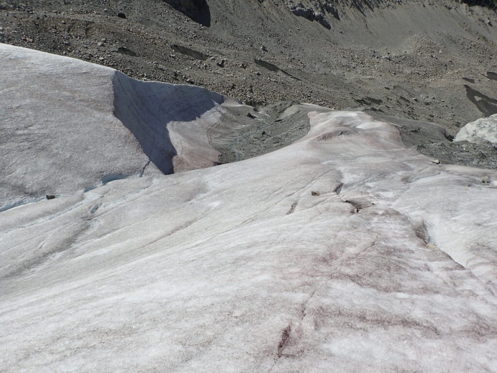 La fronte del ghiacciaio del Morteratsch ricoperta da una fioritura di alga rossa