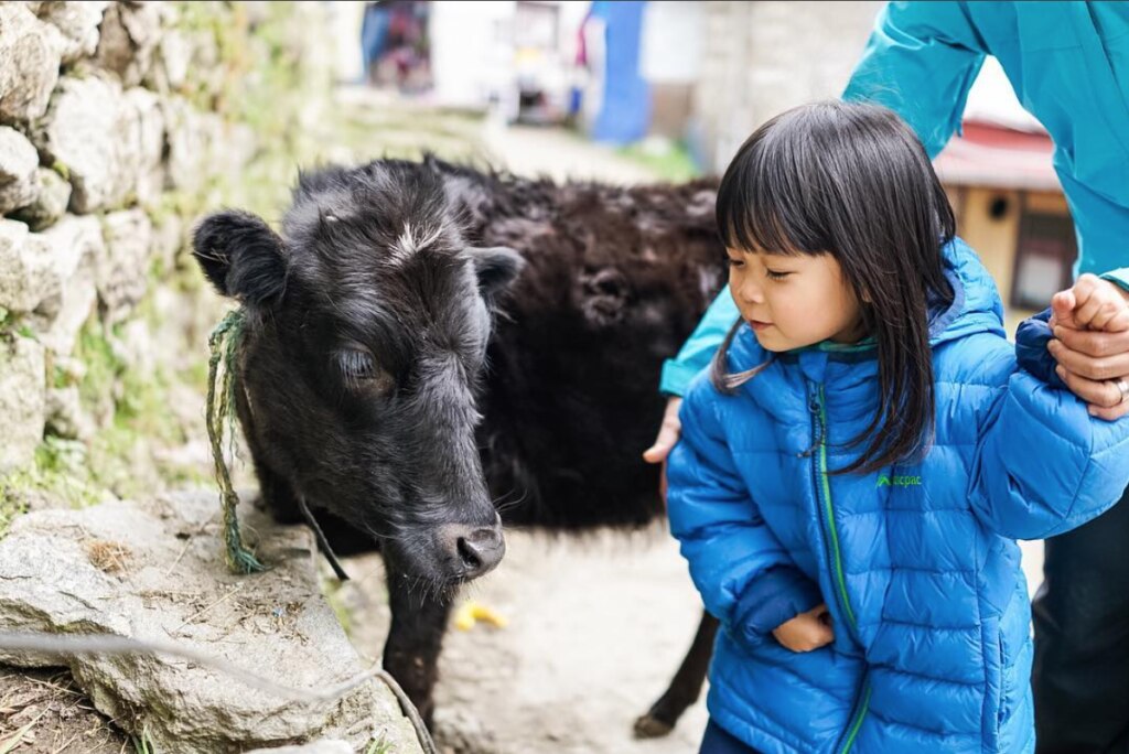 Photo @ Stefen Chow Instagram