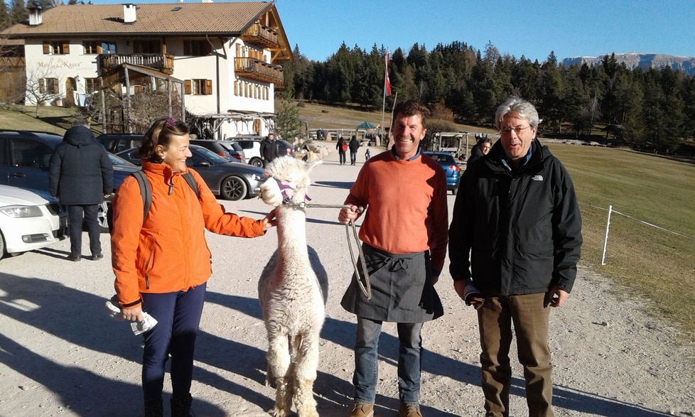 Fonte: Alto Adige