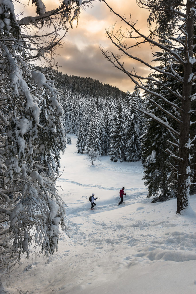 Le piste da sci della Val di Non