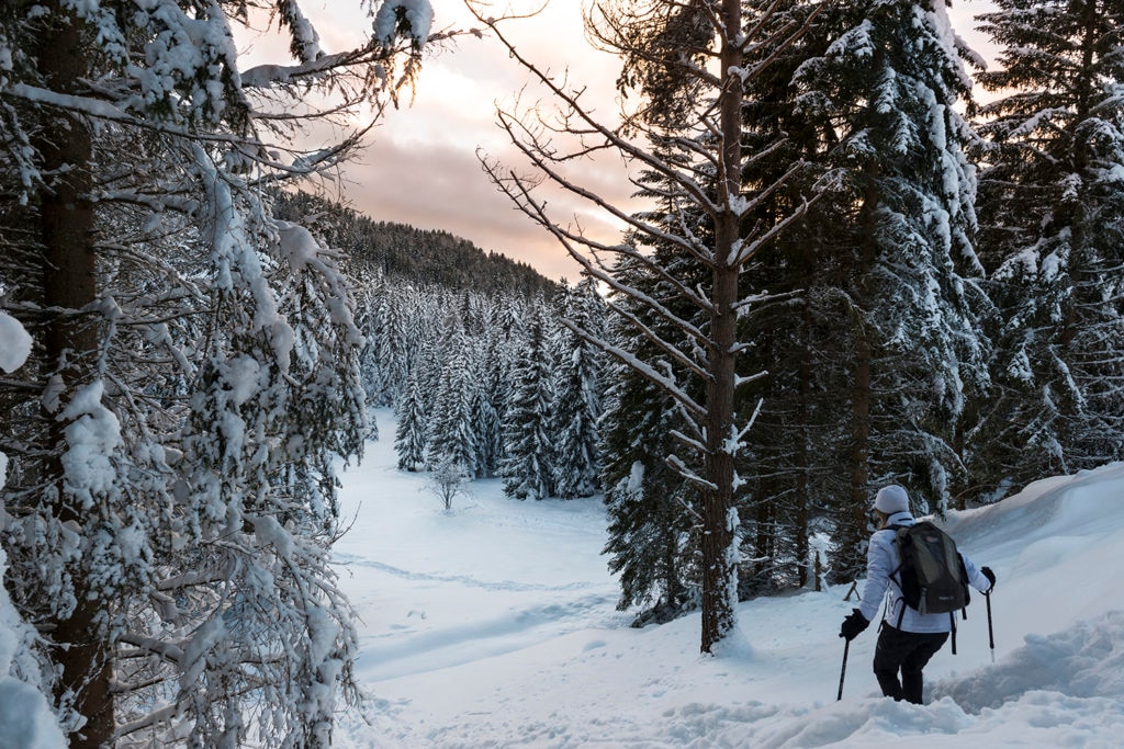 Le piste da sci della Val di Non