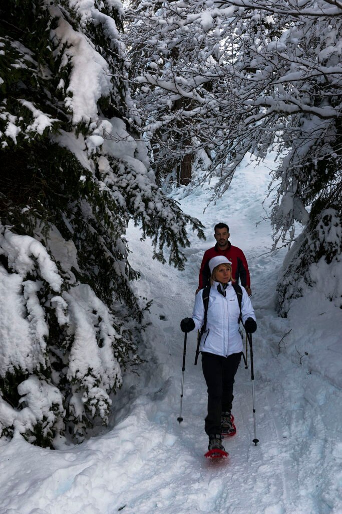Le piste da sci della Val di Non