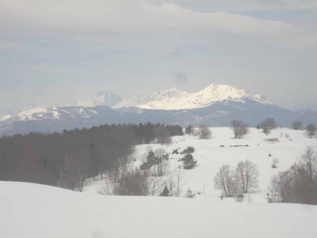 Foto Luciano Pellegrini