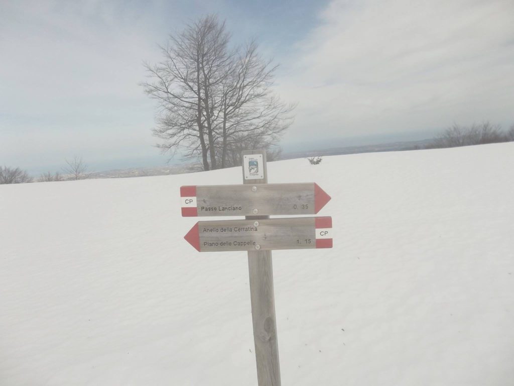 Foto Luciano Pellegrini