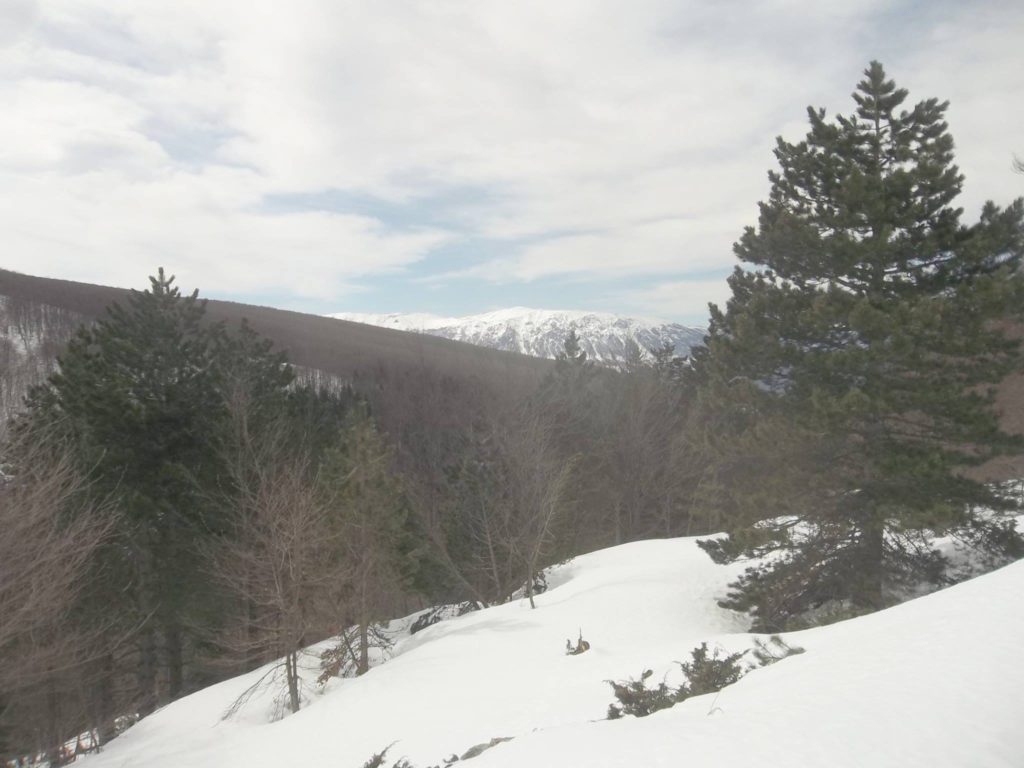 Foto Luciano Pellegrini