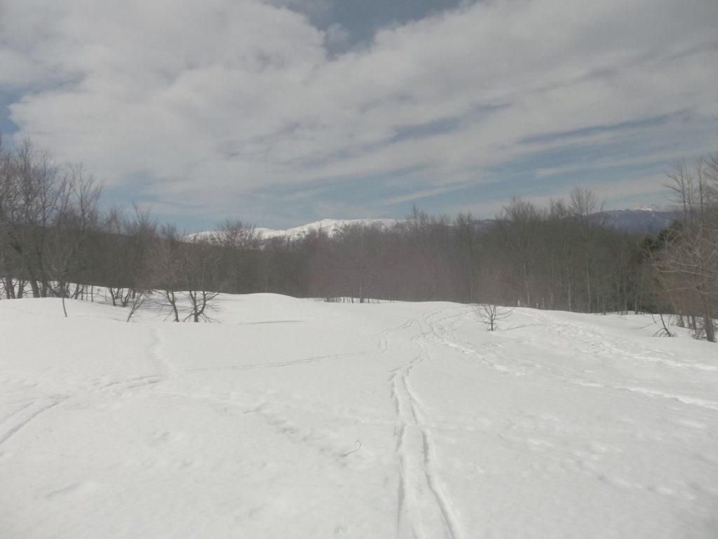 Foto Luciano Pellegrini