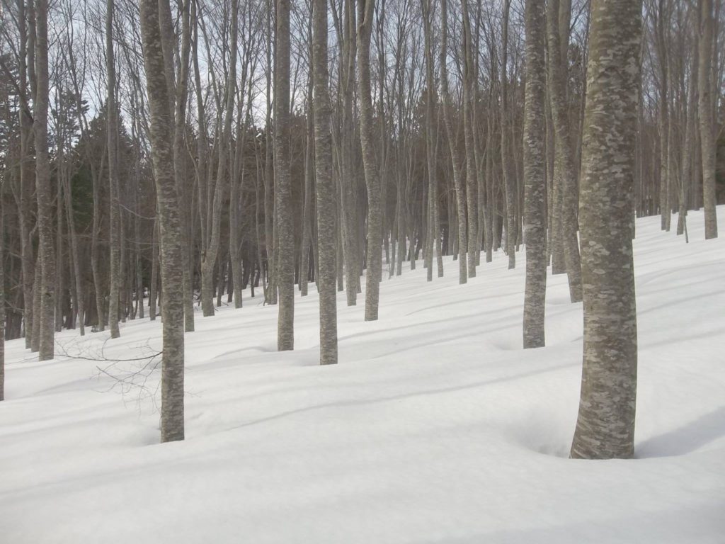 Foto Luciano Pellegrini