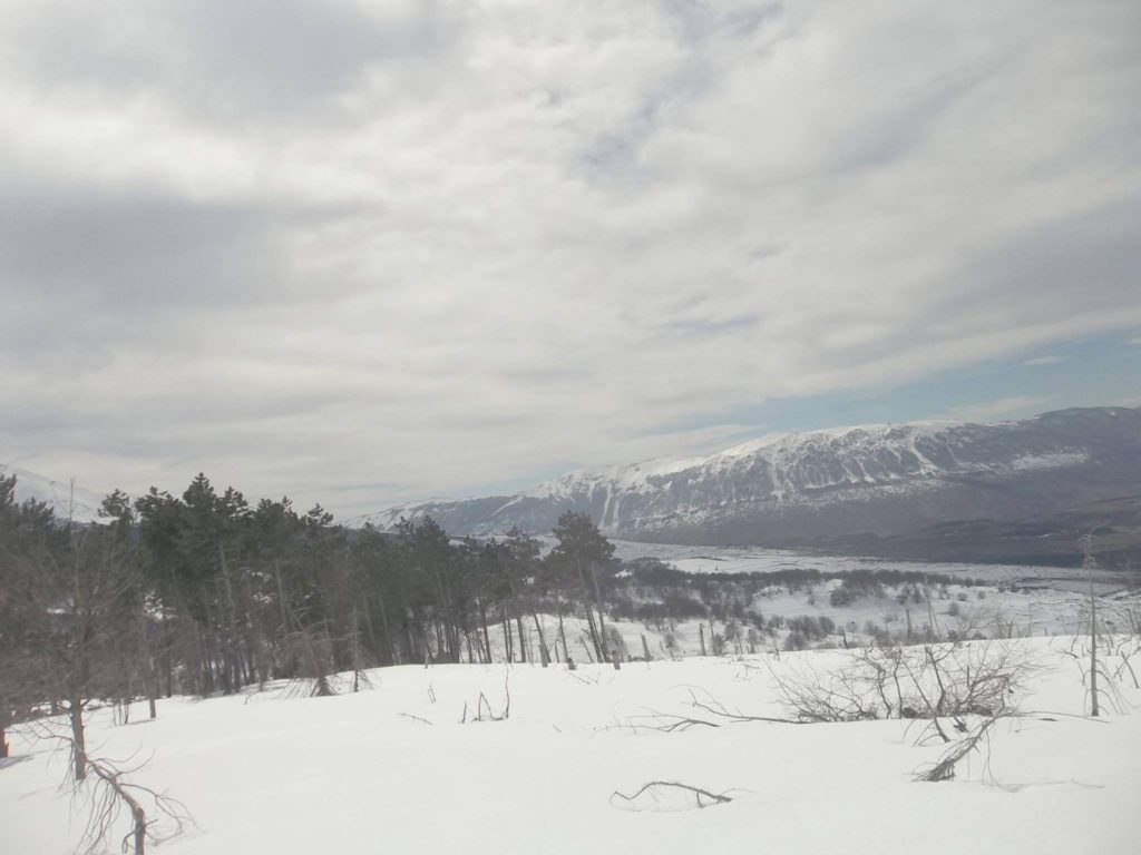 Foto Luciano Pellegrini