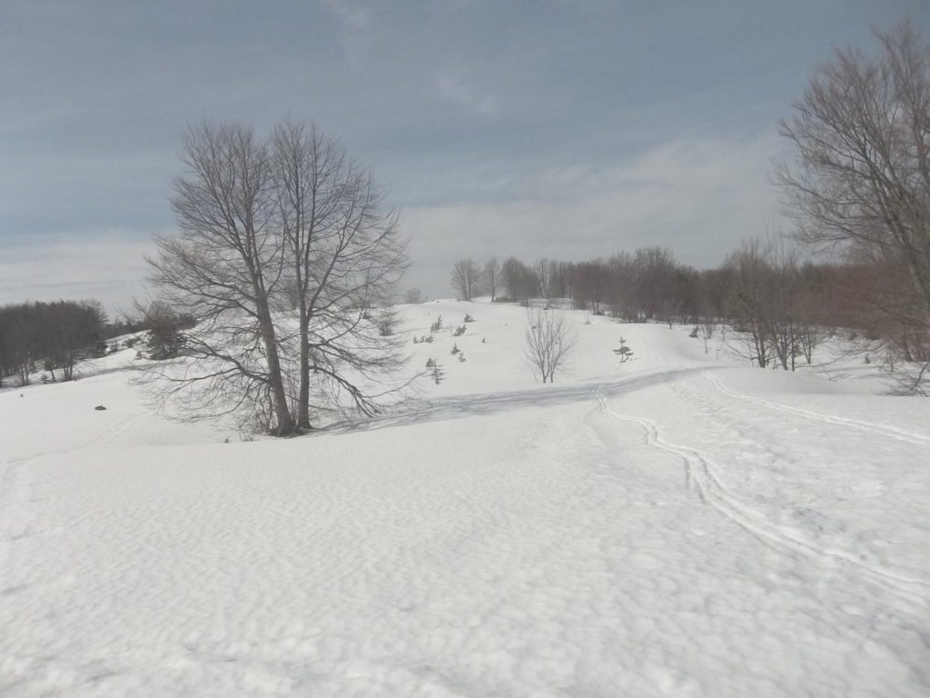 Foto Luciano Pellegrini