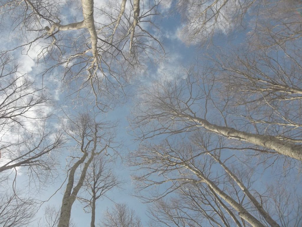 Foto Luciano Pellegrini