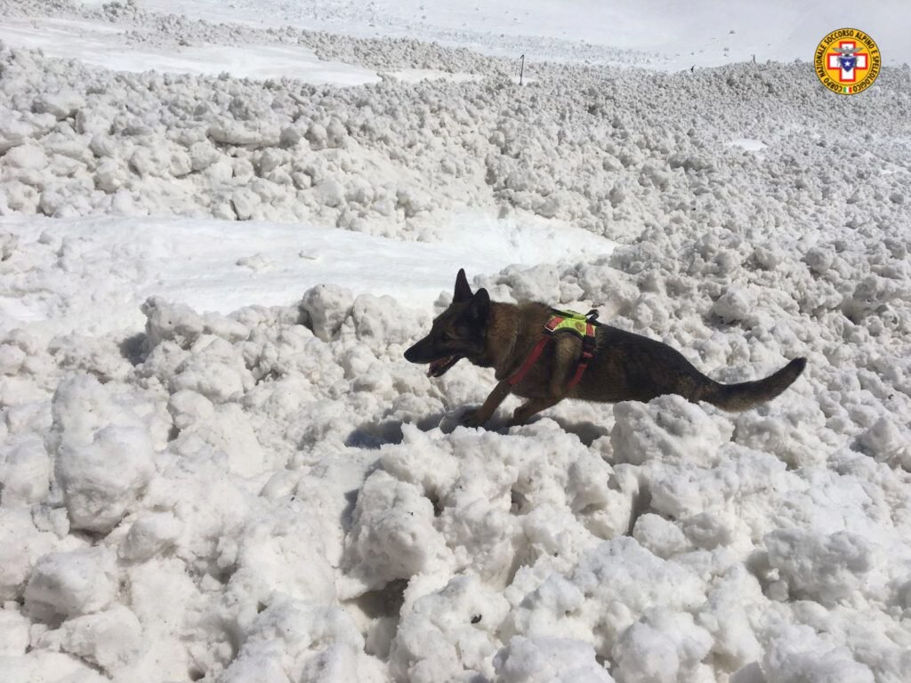 Foto @ CNSAS Lombardia