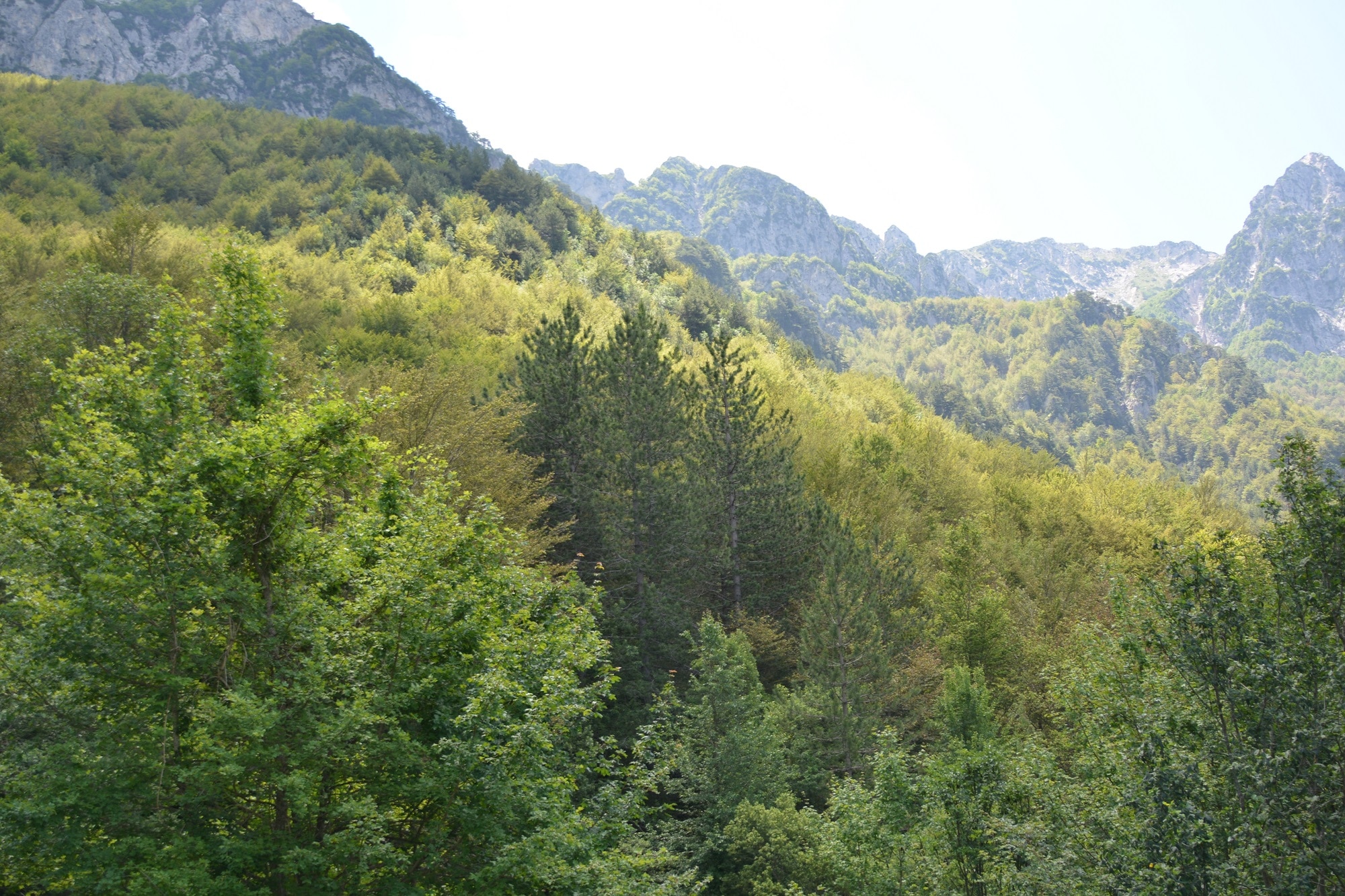 Fonte: CAI