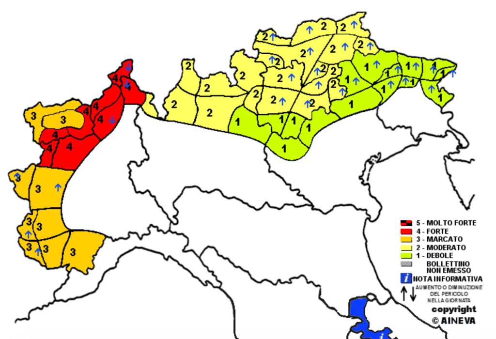 Bollettino AINEVA domenica