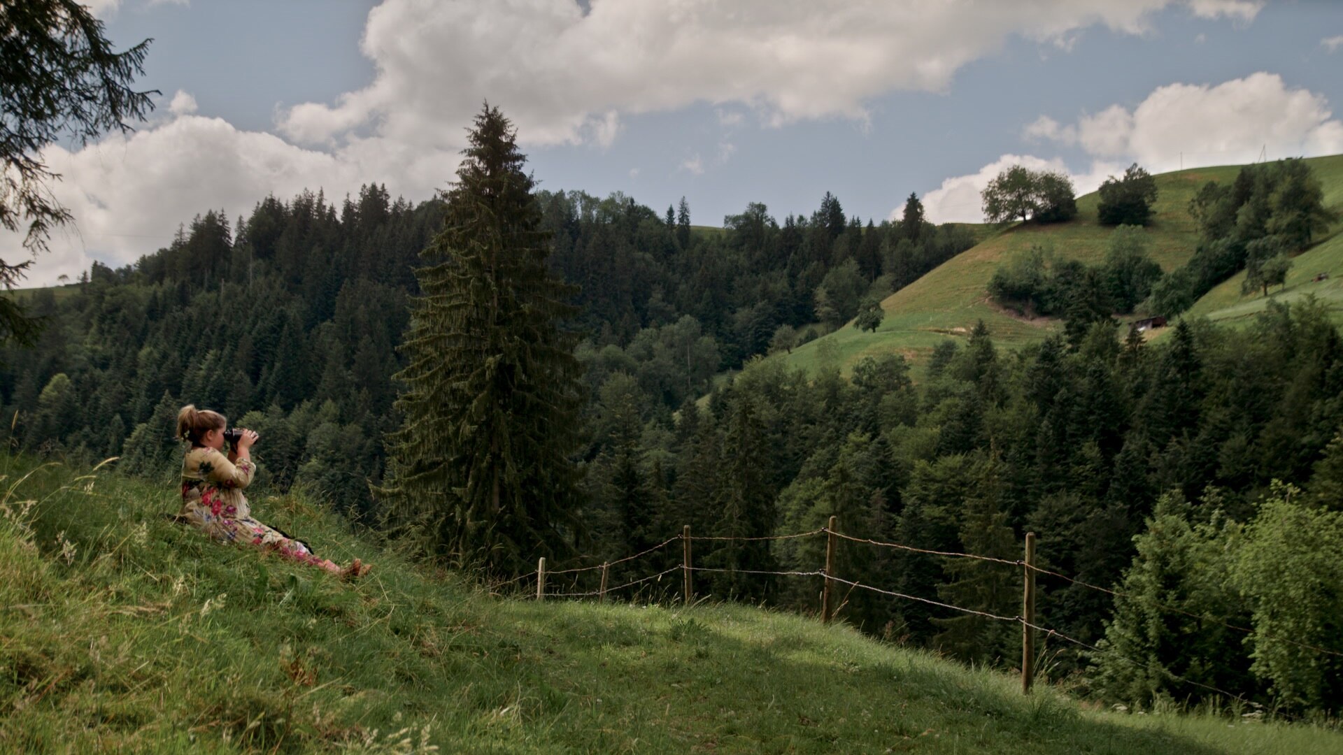 Photo of Natura, grandi storie e arrampicata olimpica: questo il 65° Trento Film Festival