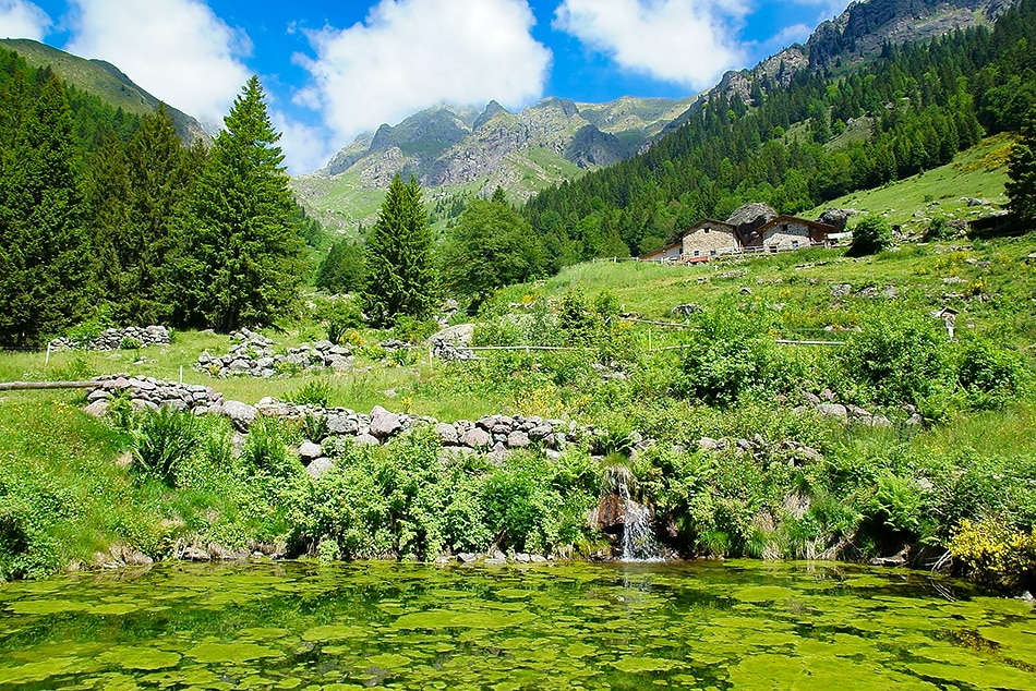 Fonte: Valbrembanaweb