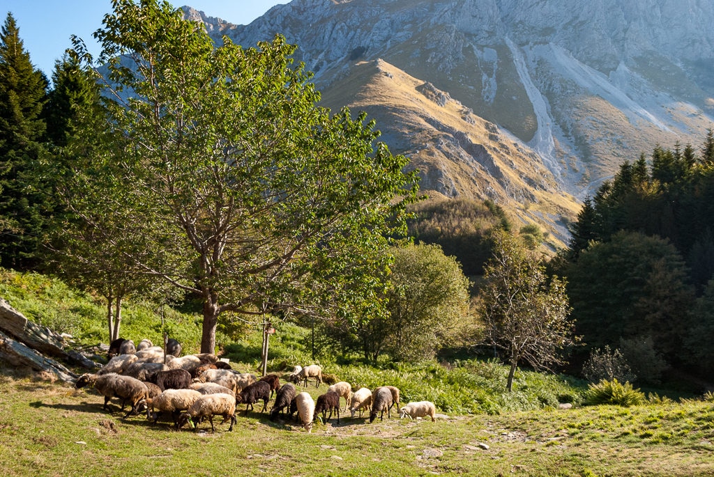 Fonte: Luca Bernardini