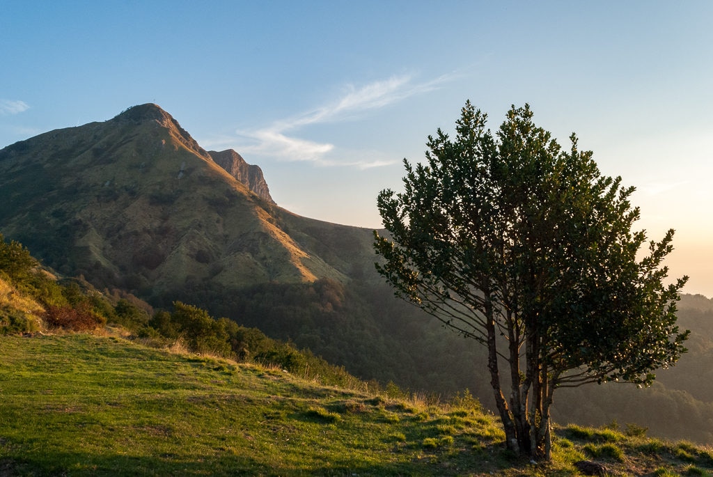 Fonte: Luca Bernardini