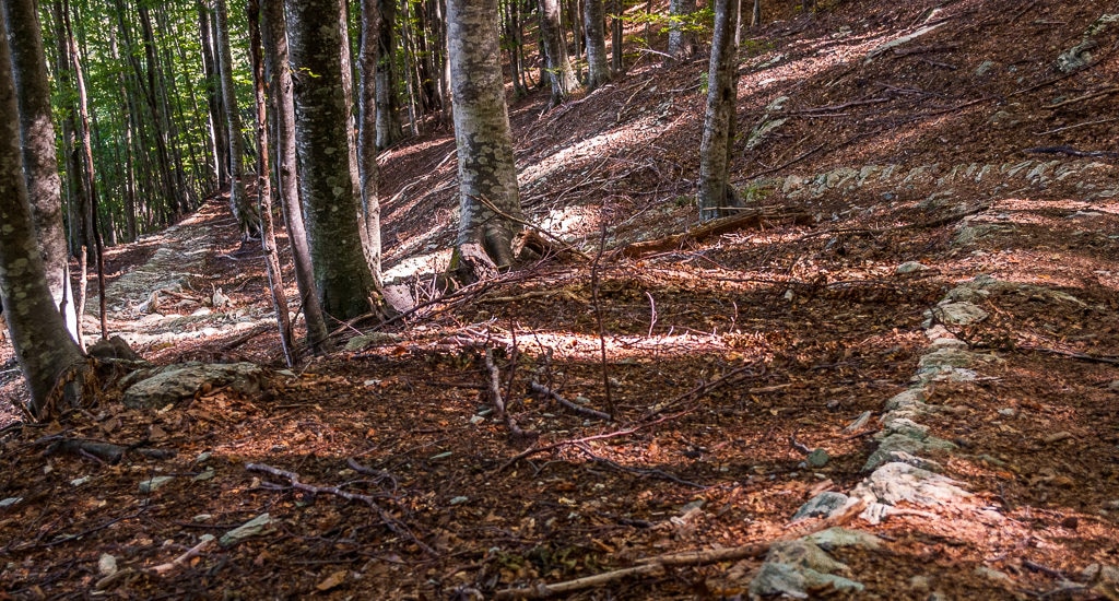 Fonte: Luca Bernardini