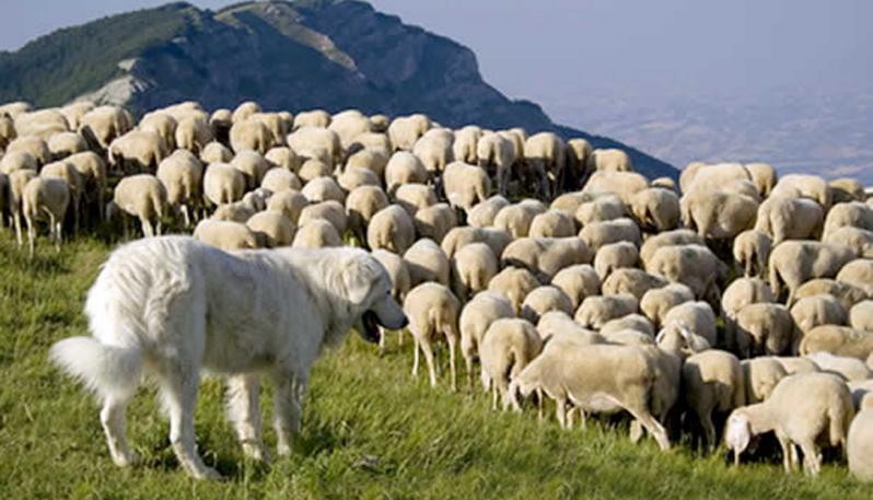 Fonte: l'Adige
