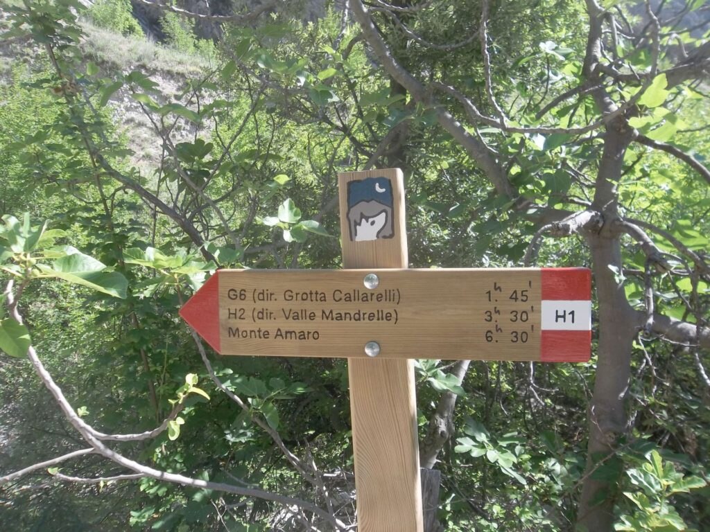 Foto @ Luciano Pellegrini