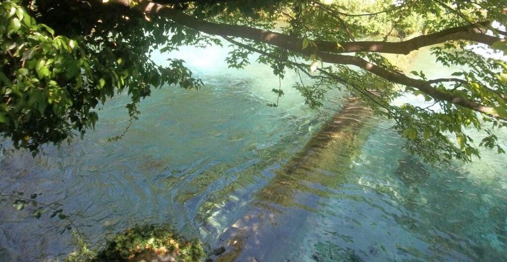 Foto @ Luciano Pellegrini