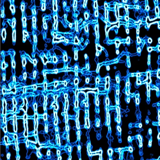 ImageJ=1.51k