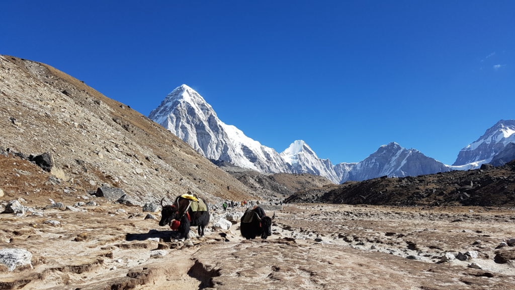 Il trekking verso il campo base
