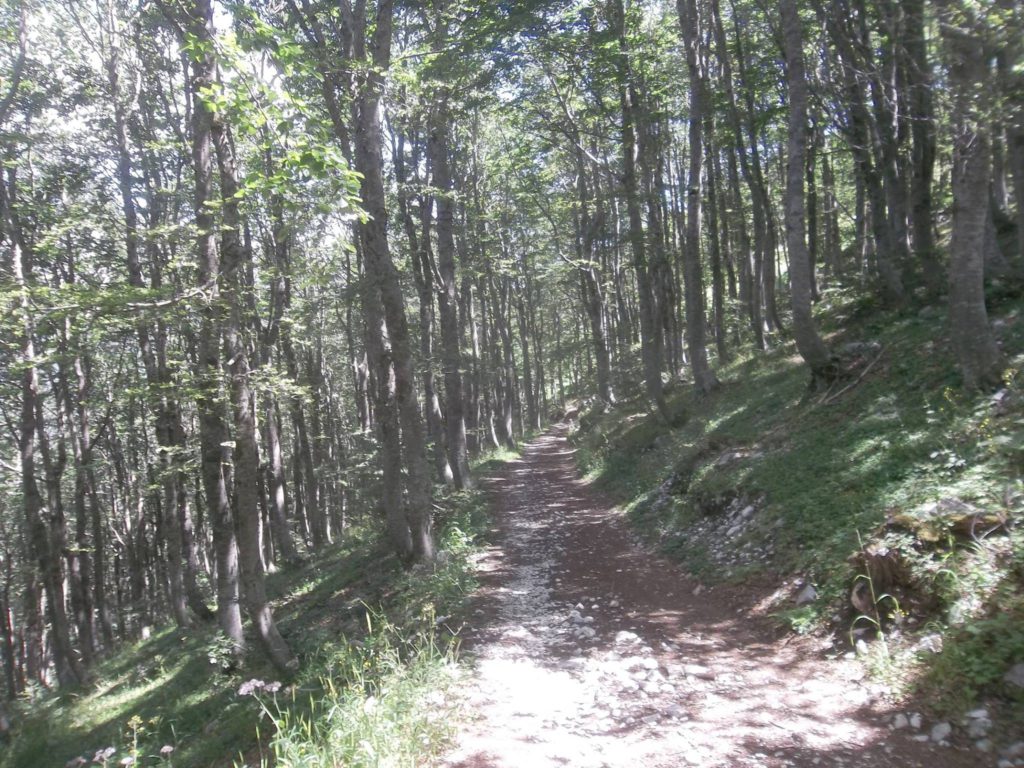 Foto @ Luciano Pellegrini