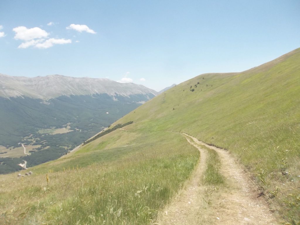 Foto @ Luciano Pellegrini