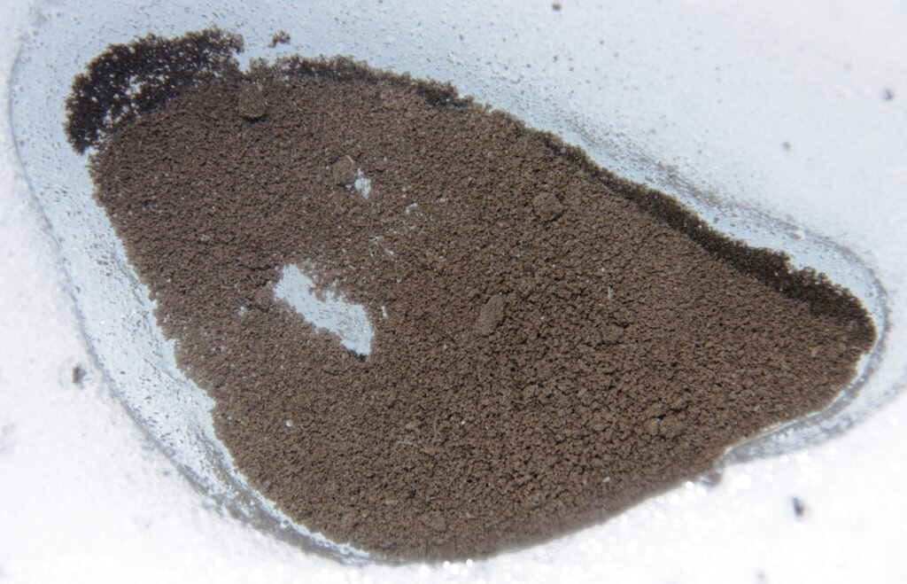 Una coppetta crioconitica @ Università Bicocca - dottor Giovanni Baccolo