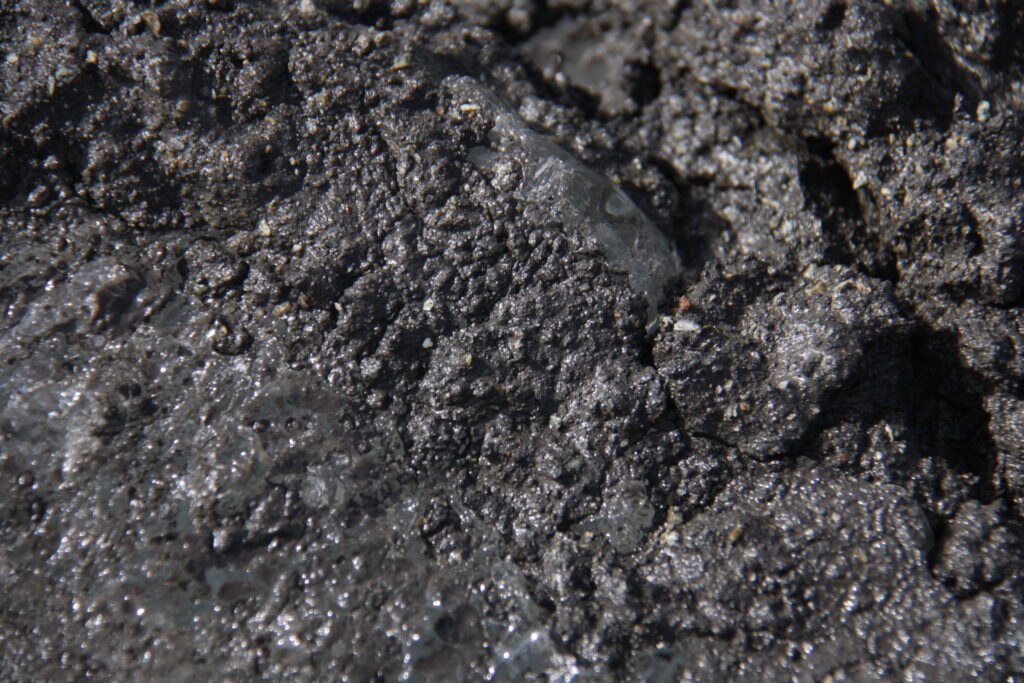 Una visuale ravvicinata dei sedimenti @ Università Bicocca - dottor Giovanni Baccolo