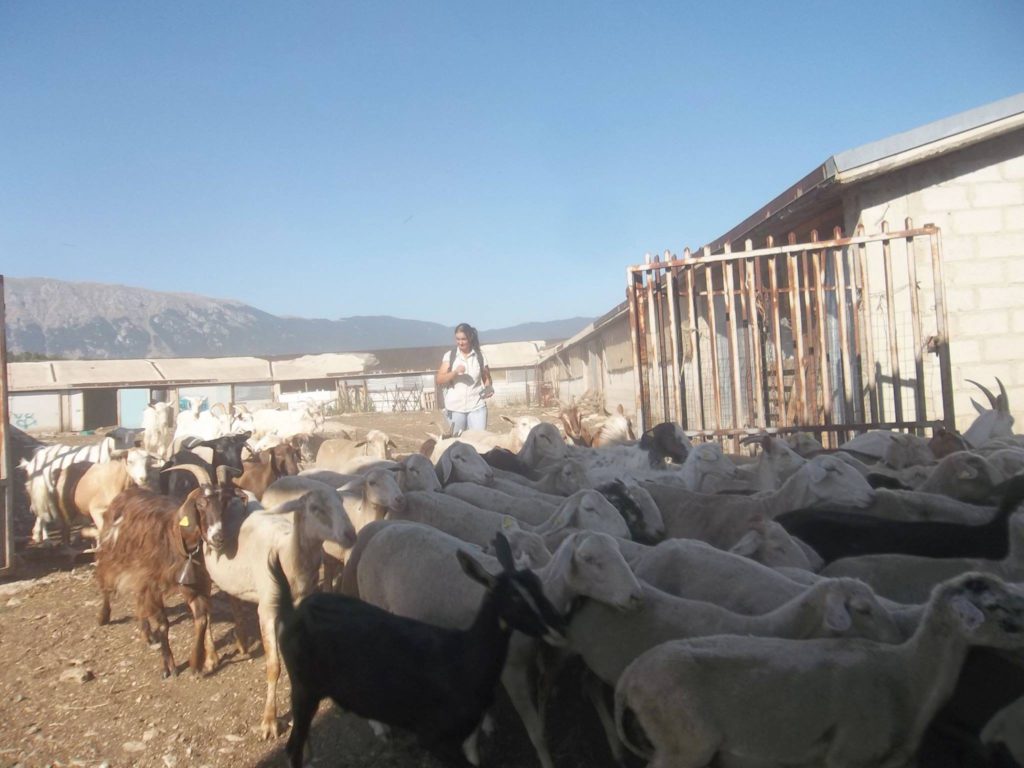 Foto @ Luciano Pellegrini