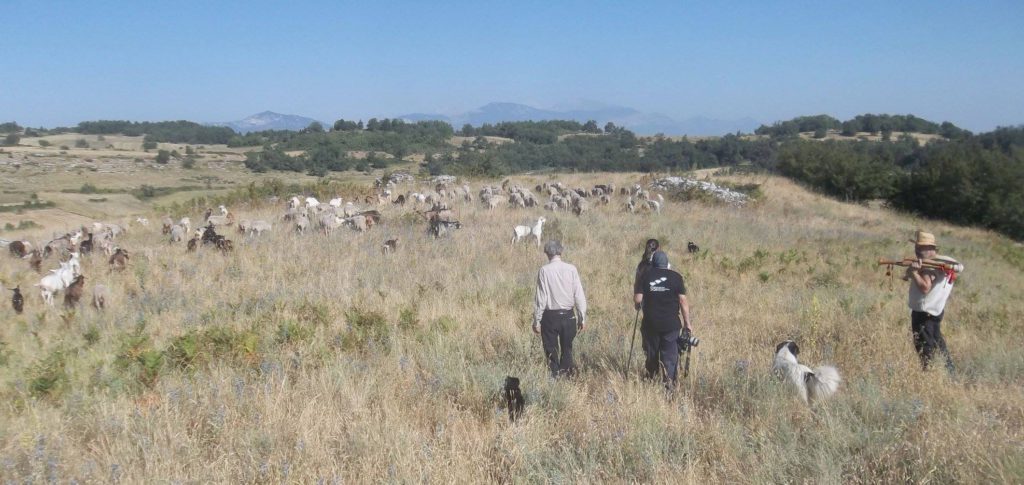 Foto @ Luciano Pellegrini