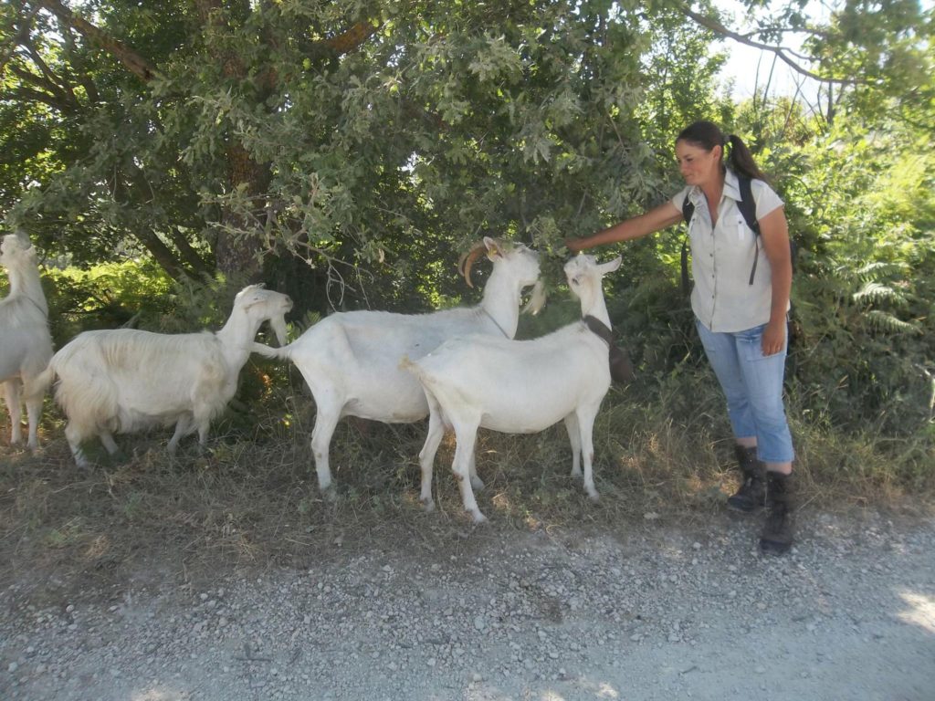 Foto @ Luciano Pellegrini