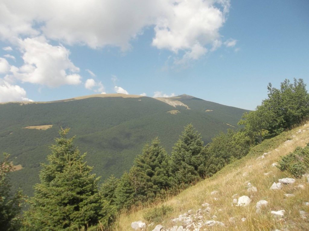 Foto @ Luciano Pellegrini