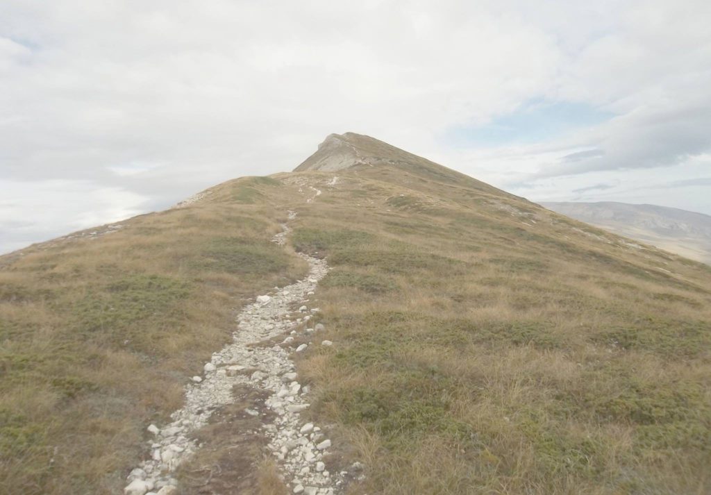 Foto @ Luciano Pellegrini