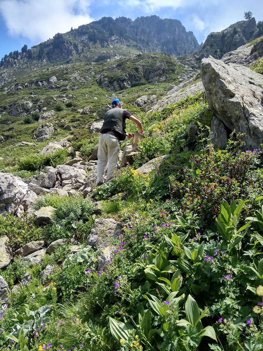 Campionamento sul campo
