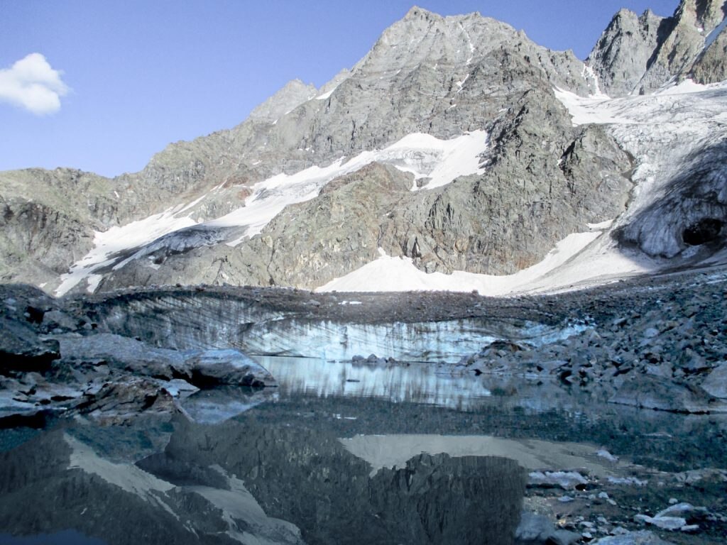 Nel 2016 - Foto @ Parco Nazionale del Gran Paradiso