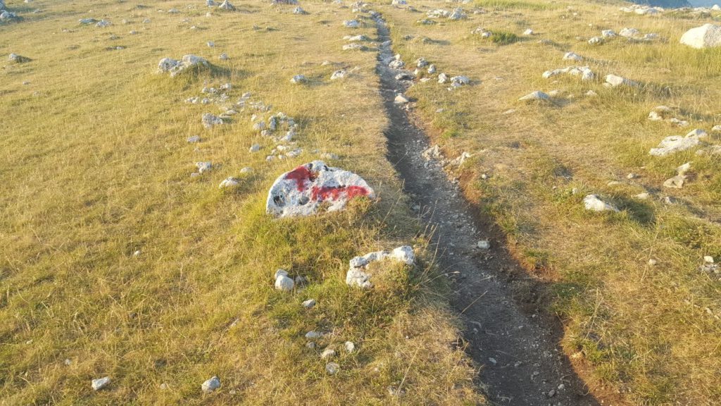 Foto @ Paolo De Luca