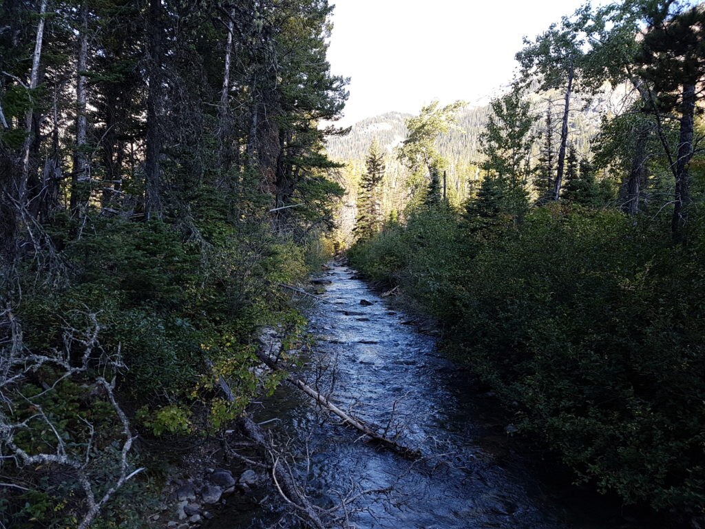 Belly River@Diego Salvi