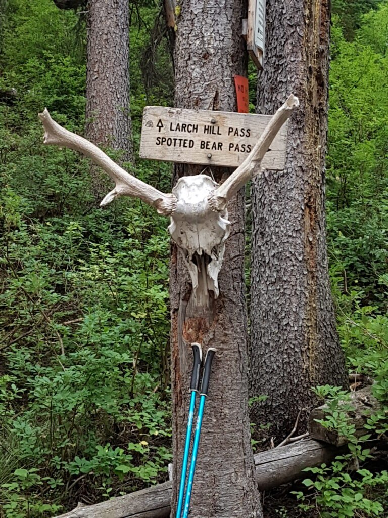 Bivio@Diego Salvi@Diego Salvi