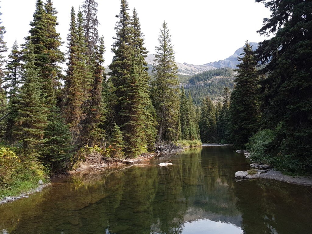 Dearbone River@Diego Salvi