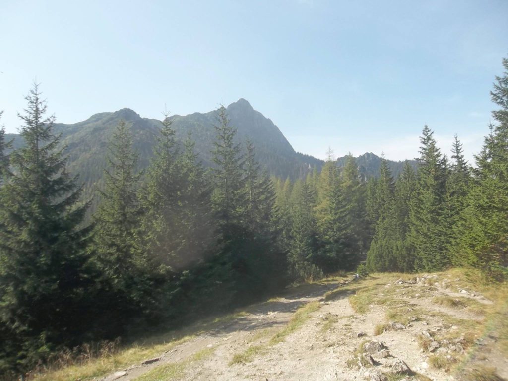 Foto @ Luciano Pellegrini