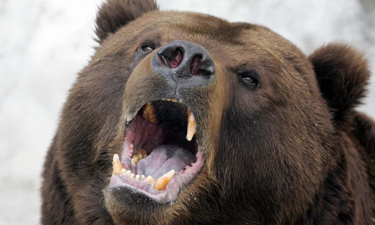 Foto @ Alexander Nemenov/AFP/Getty Image