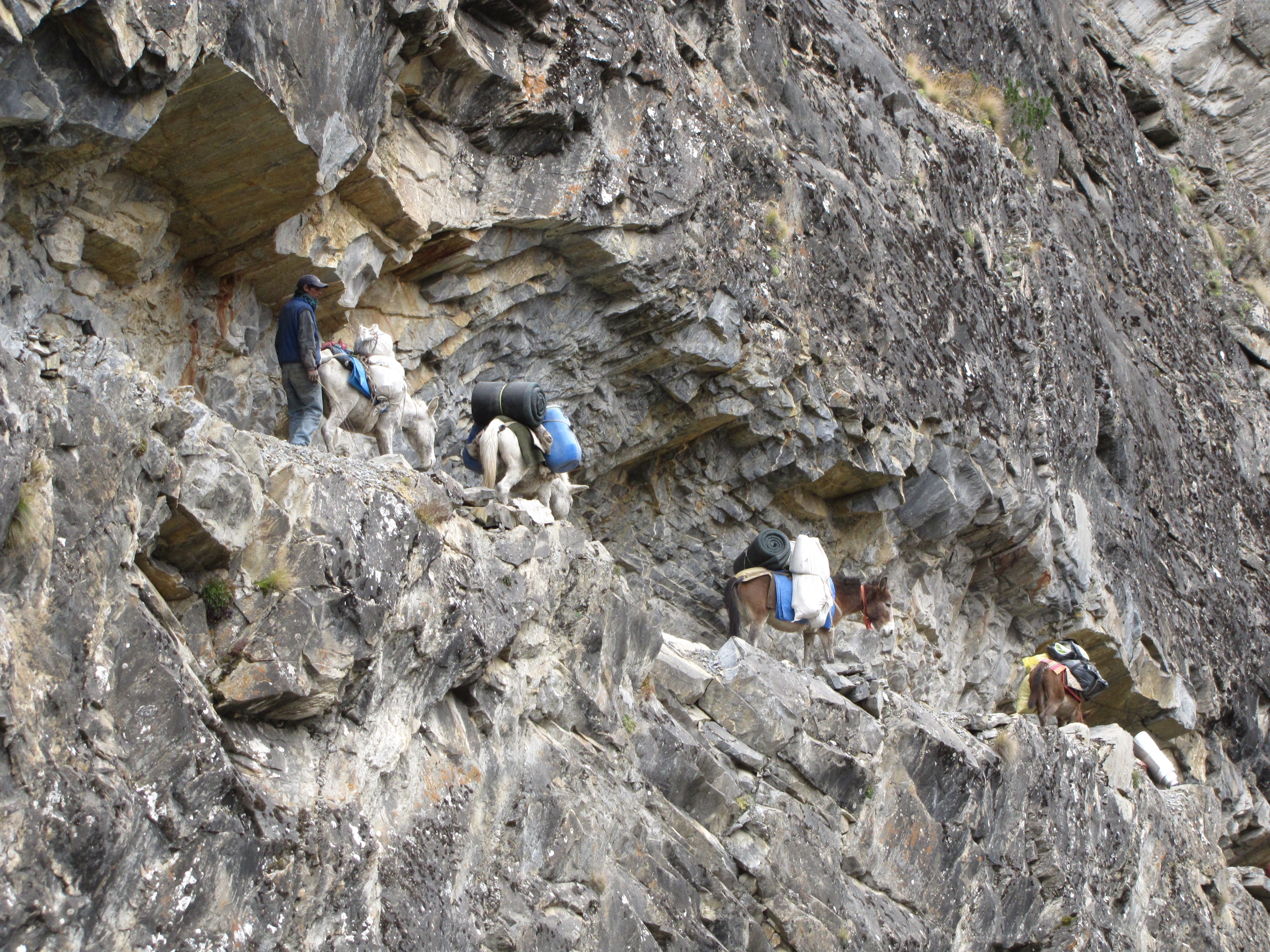 Photo of Himalaya del Dolpo – Diario di viaggio di Paolo Cognetti: verso la fine del viaggio