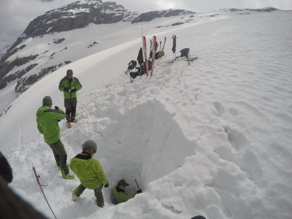 Credits: Stefano Cerise